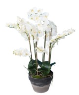 Artificial POTTED PHALAENOPSIS ORCHID 105