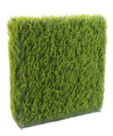 Artificial cypress juniperus (juniperus vj) JUNIPERUS HEDGE METAL STRUCTURE