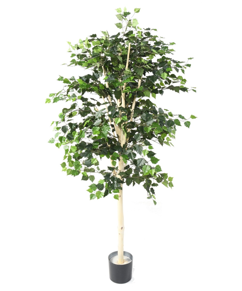Artificial BIRCH ST