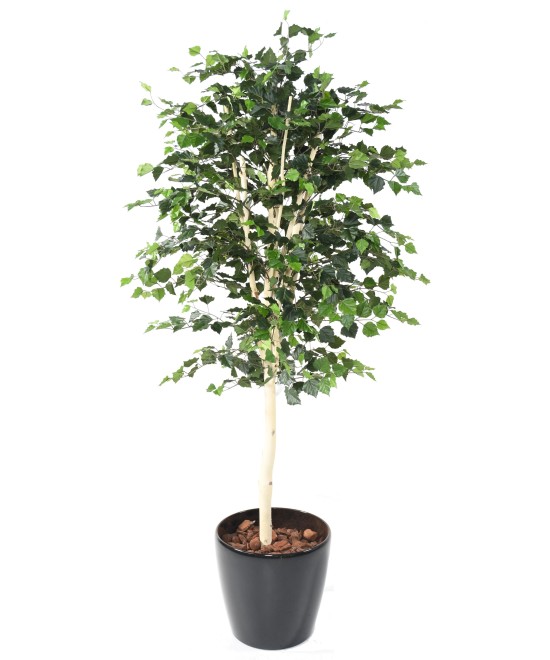 Artificial BIRCH ST