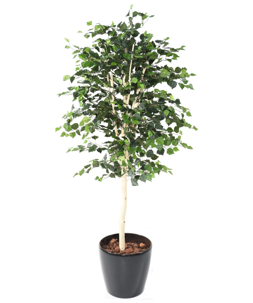 Artificial BIRCH ST