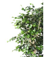 Artificial BIRCH ST