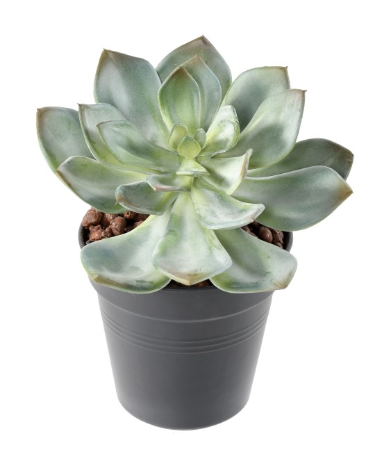 Artificial SUCCULENT *25