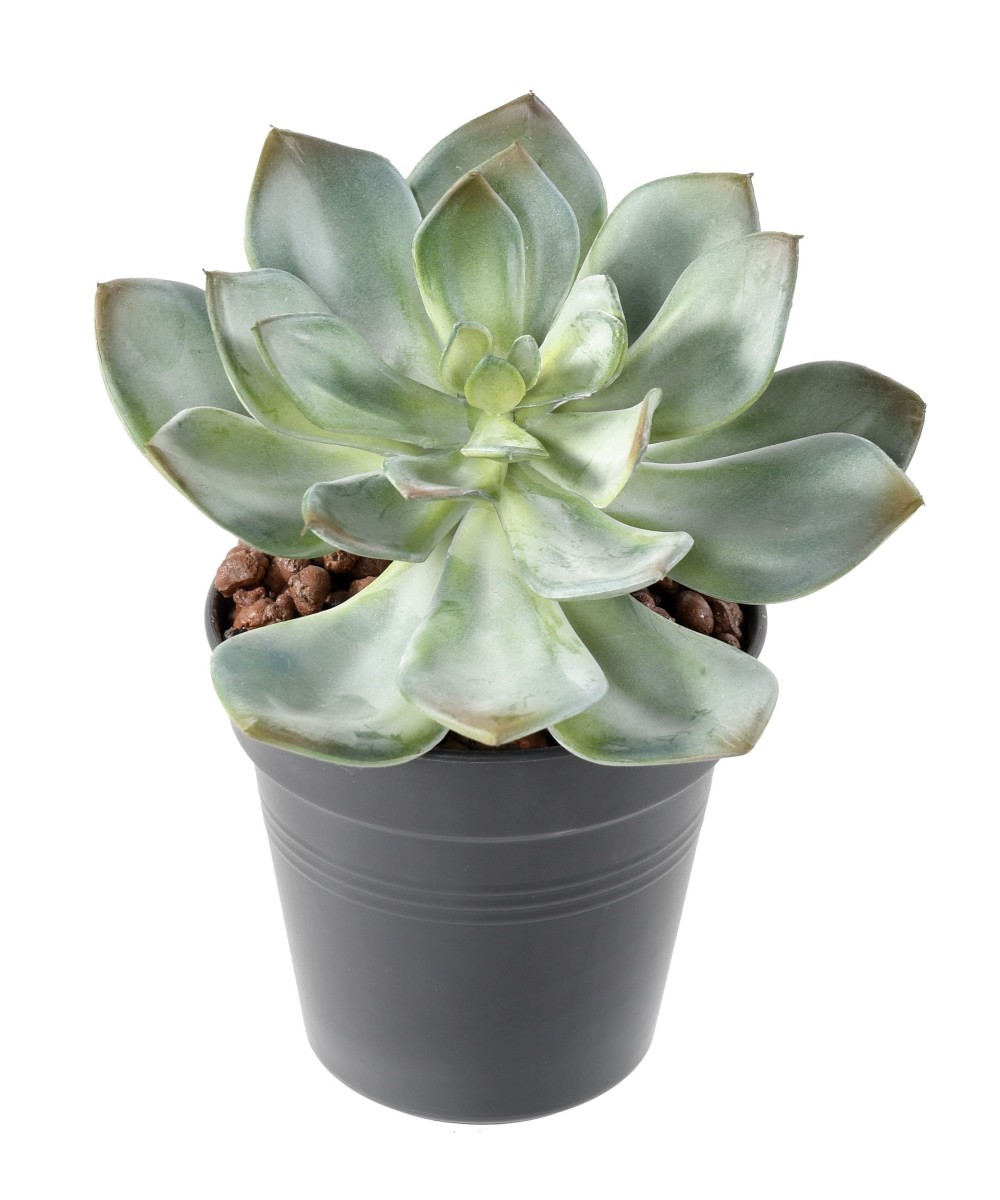 Artificial SUCCULENT *25