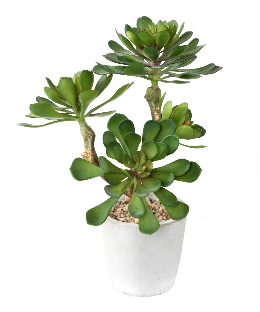 Artificial POTTED SUCCULENT 30