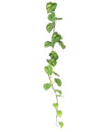 Kunstlilled POTHOS suur vanik 200