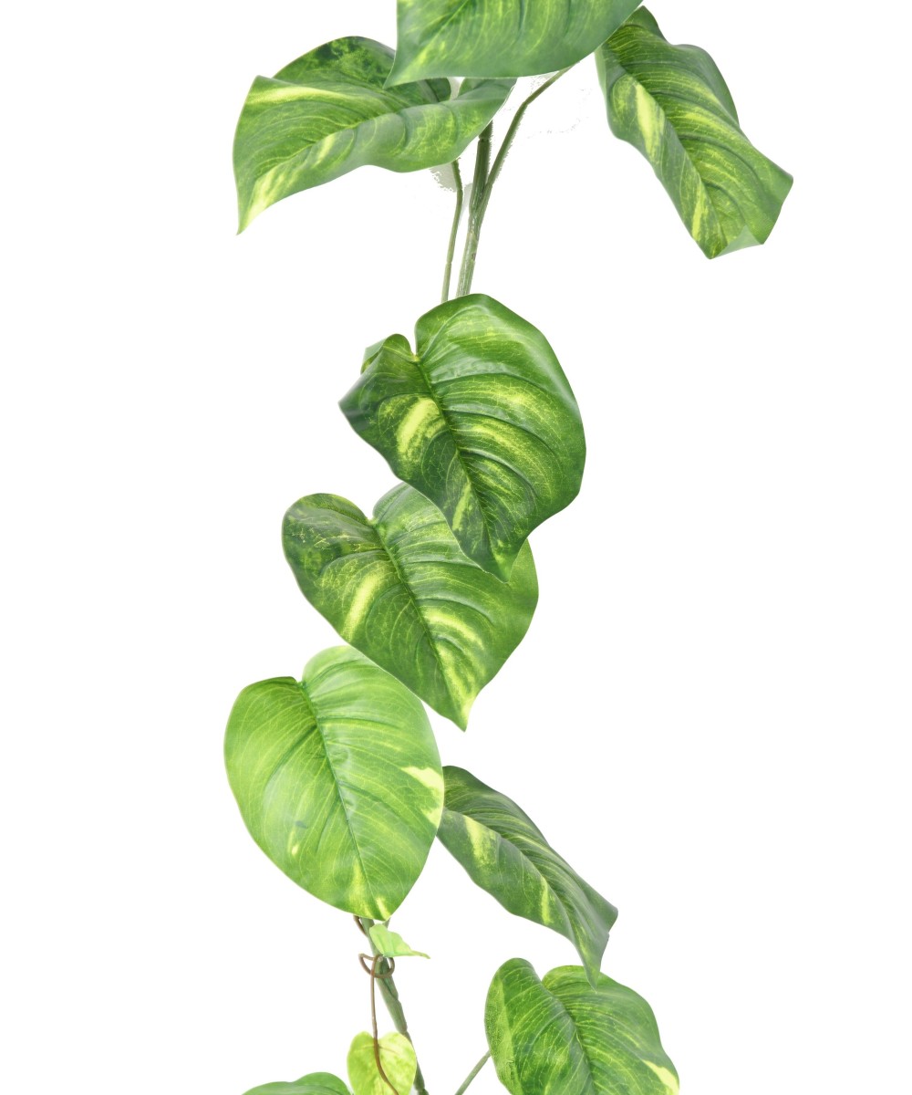 Kunstlilled POTHOS suur vanik 200