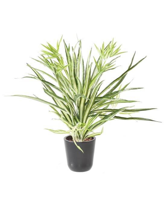 Artificial CHLOROPHYTUM * 107