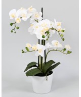 Artificial PHALAENOPSIS ORCHID POT *5