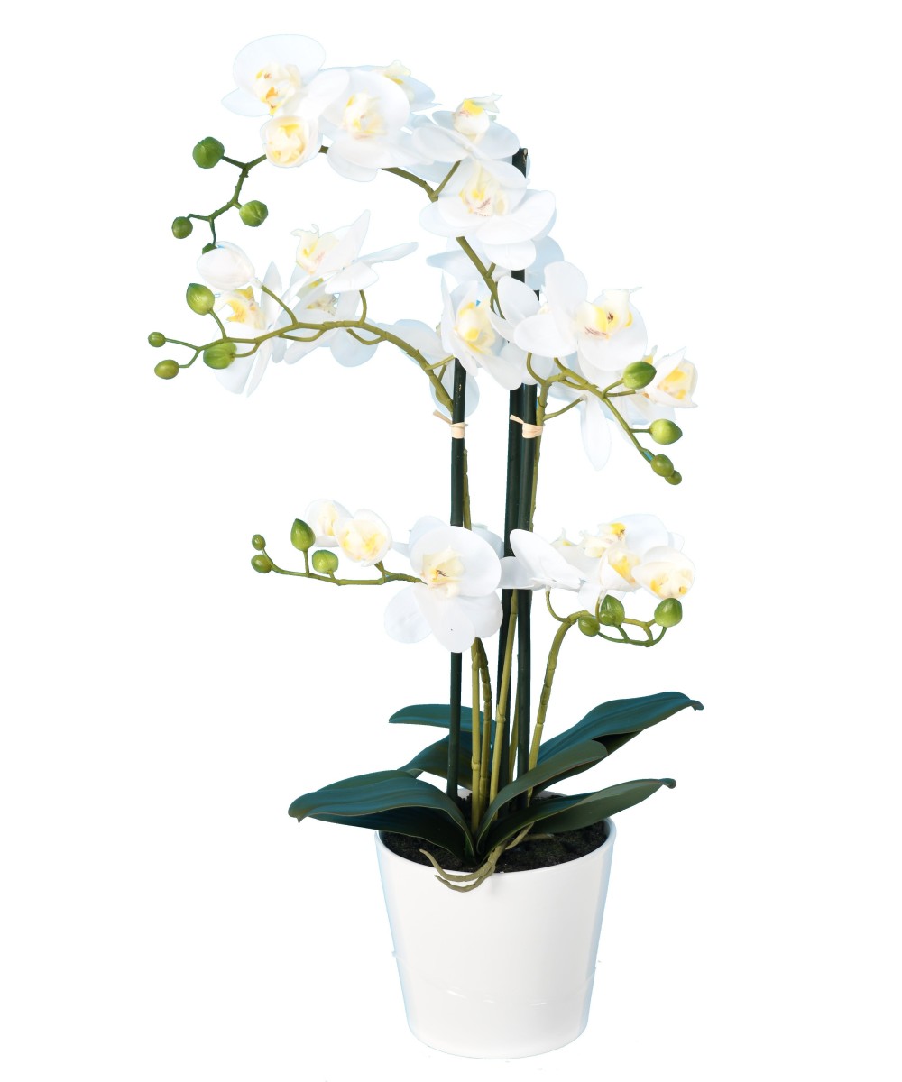 Artificial PHALAENOPSIS ORCHID POT *5