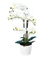 Artificial PHALAENOPSIS ORCHID POT *5