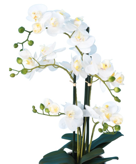 Artificial PHALAENOPSIS ORCHID POT *5