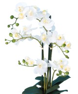 Artificial PHALAENOPSIS ORCHID POT *5