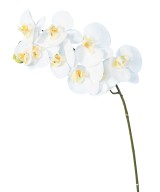 Artificial PHALAENOPSIS ORCHID STEM