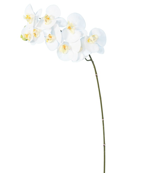 Artificial PHALAENOPSIS ORCHID STEM