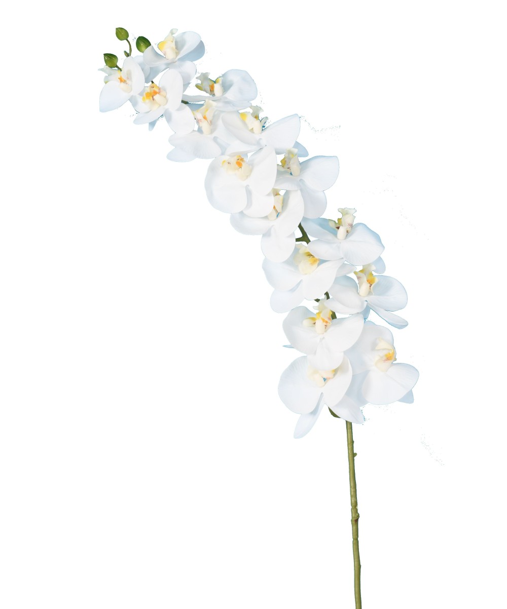 Artificial PHALAENOPSIS ORCHID STEM