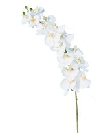 Artificial PHALAENOPSIS ORCHID STEM