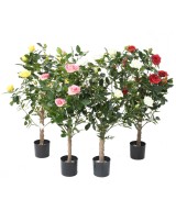 Artificial ROSE