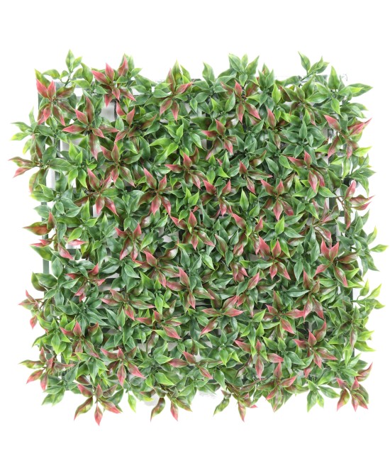 RUSCUS PANEEL