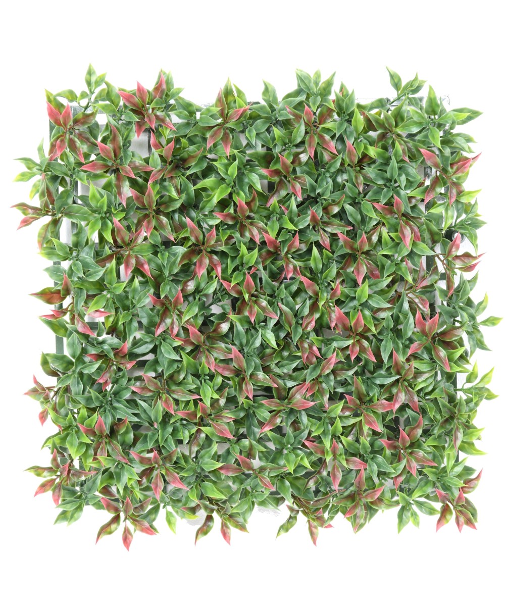 RUSCUS PANEL