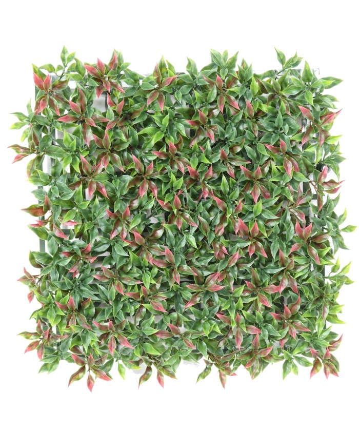 RUSCUS PANEEL