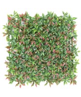 RUSCUS PANEL