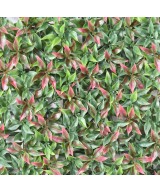 RUSCUS PANEL