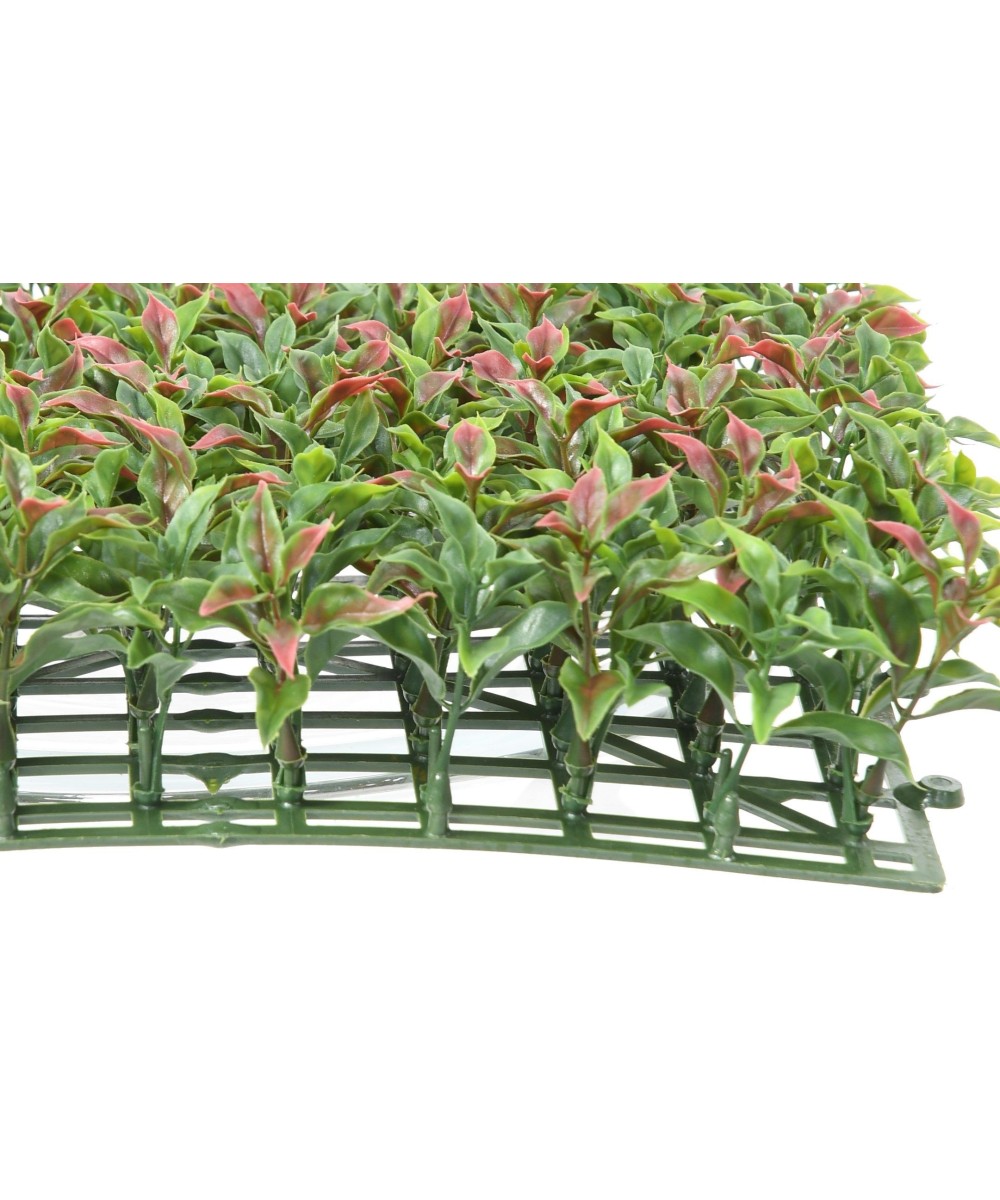 RUSCUS PANEL