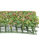 RUSCUS PANEEL