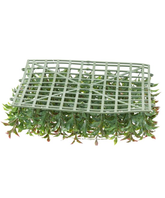 RUSCUS PANEL