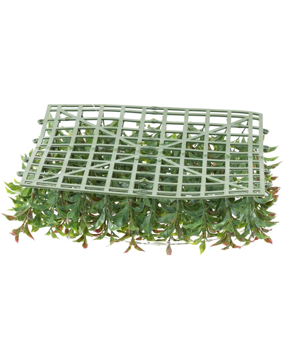 RUSCUS PANEL