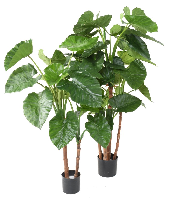 Artificial ALOCASIA CALIDORA TB