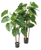 Kunstalokaasia CALIDORA TB