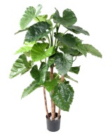 Kunstalokaasia CALIDORA TB