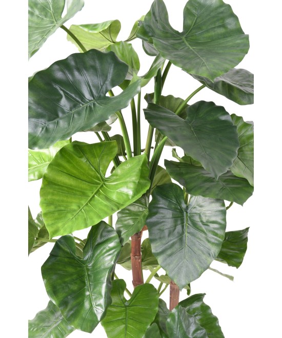 Kunstalokaasia CALIDORA TB