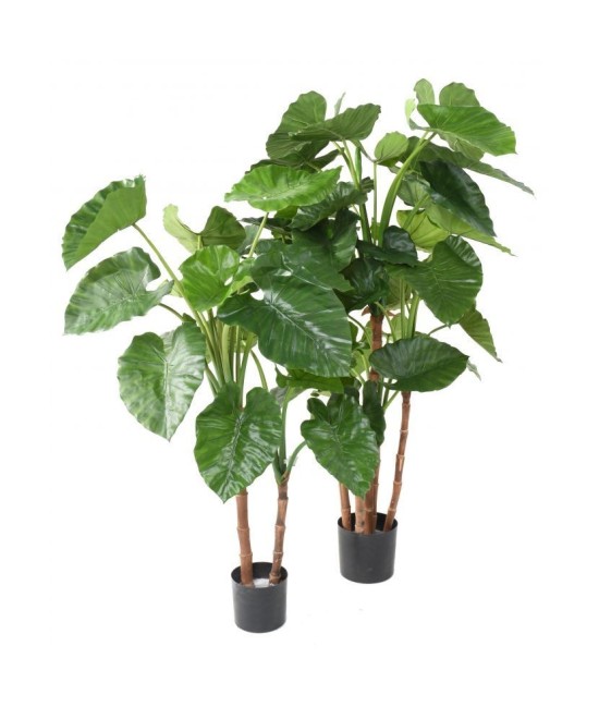 Kunstalokaasia CALIDORA TB