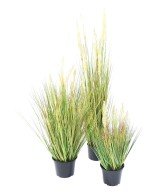 Artificial ONION GRASS