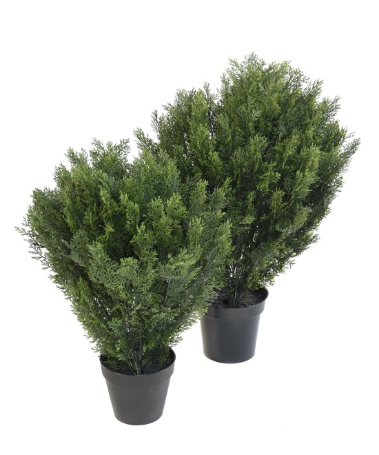 Kunstlik KÜPRESS (juniperus vj) ÜMARAD PÕÕSAD