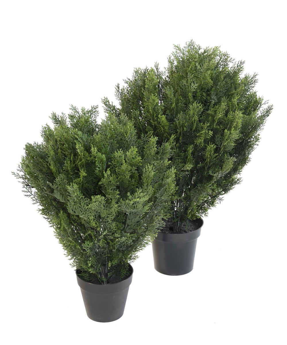 Kunstlik KÜPRESS (juniperus vj) ÜMARAD PÕÕSAD