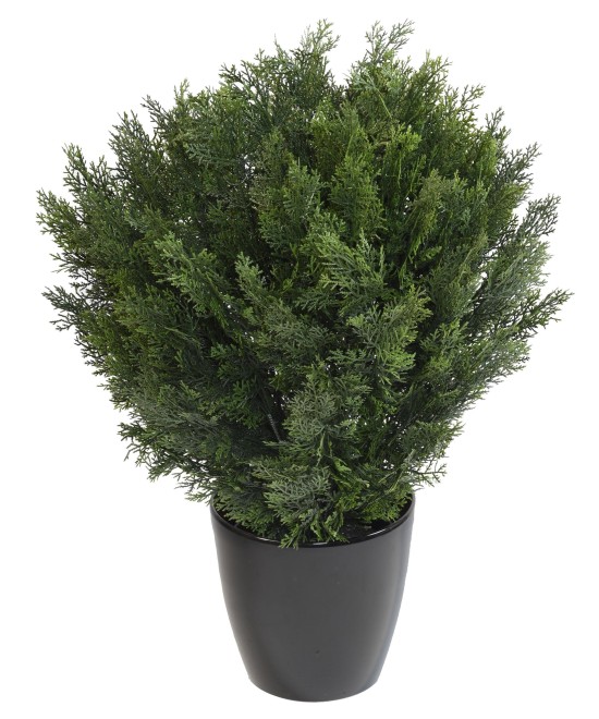 Kunstlik KÜPRESS (juniperus vj) ÜMARAD PÕÕSAD