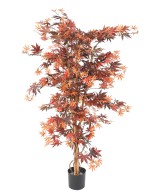 Artificial ARALIA NEW (MAPLE)
