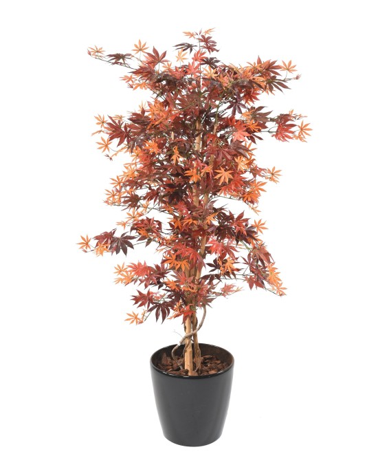 Artificial ARALIA NEW (MAPLE)