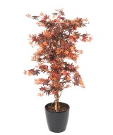 Artificial ARALIA NEW (MAPLE)