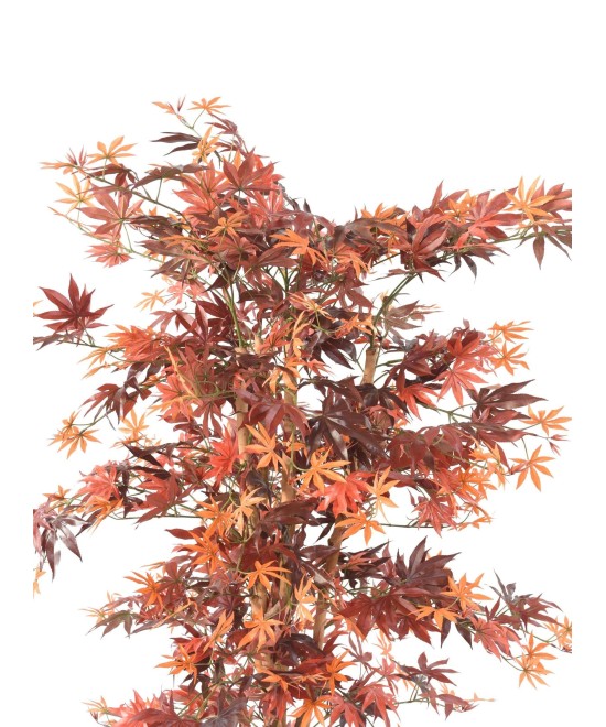 Artificial ARALIA NEW (MAPLE)