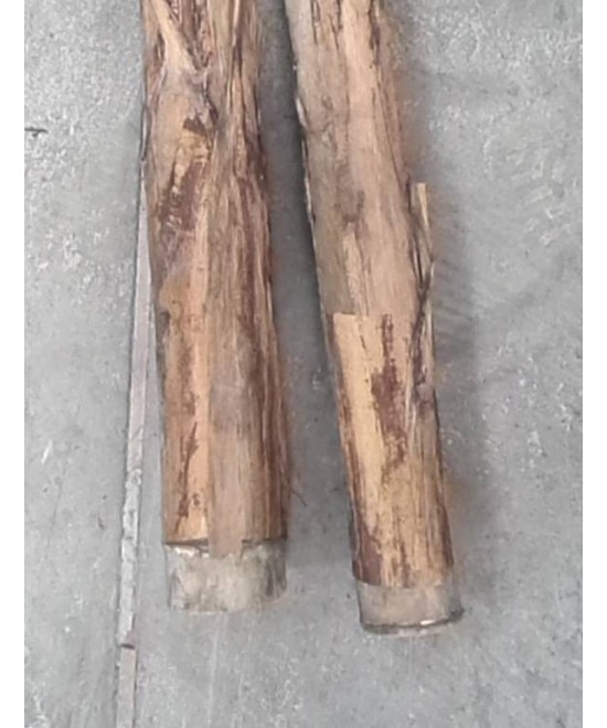 Artificial BANANA TREE GIANT *2