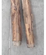 Artificial BANANA TREE GIANT *2