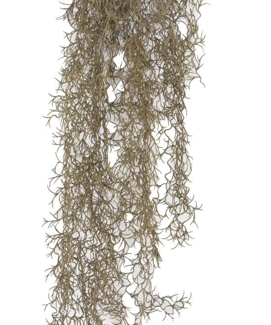 Kunstlik TILLANDSIA RIPPUPÕÕSAS 95
