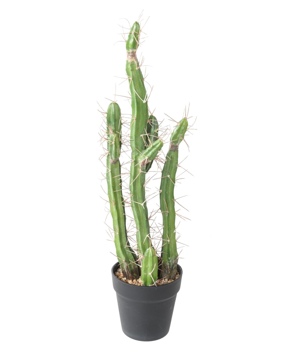Artificial FINGER CACTUS F