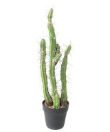 Artificial FINGER CACTUS F