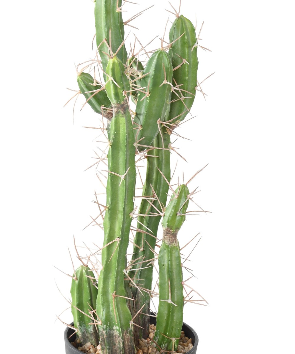 Artificial FINGER CACTUS F